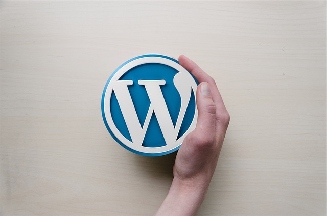 A Beginner’s Guide to Creating a WordPress Website with Ease